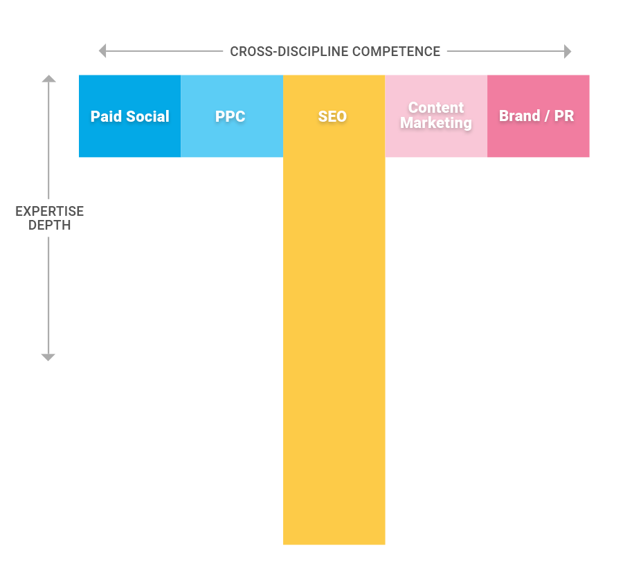 T-shaped skill graph of cross-discipline competence and expertise depth