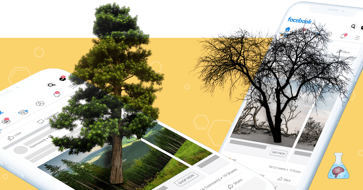 What is evergreen content? Brainlabs