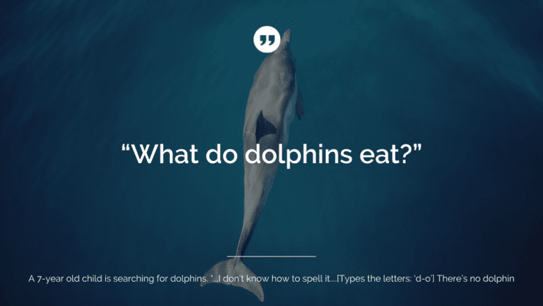 what do dolphins eat