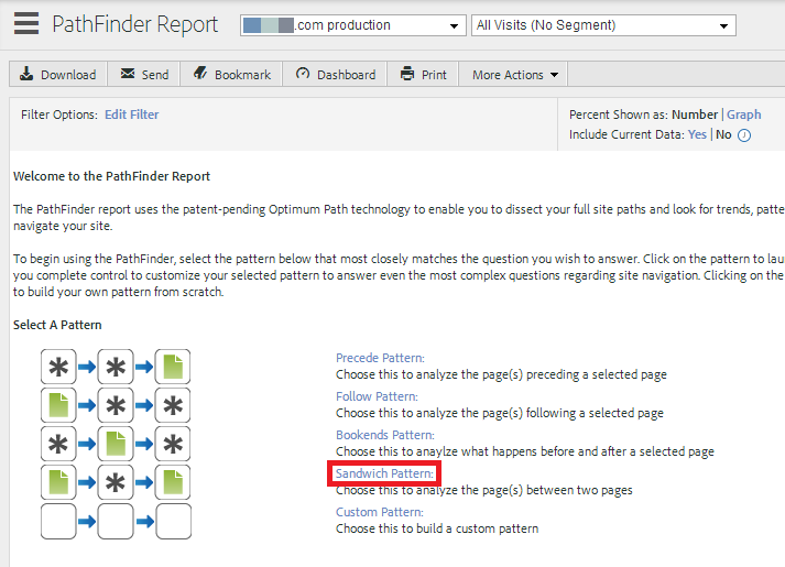 Omniture pathfinder report