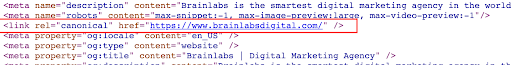 Brainlabs homepage canonical tag screenshot